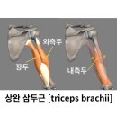 바디에이프PT 이미지
