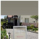 스테이브릴 이미지