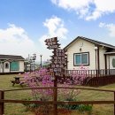 바다사랑펜션타운-1 이미지