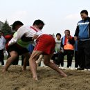 완도중학교 동문체육대회 이미지