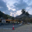 [대구/군위] 대구 근교 글램핑 &#39;군위 전투 전승기념공원 캠핑장&#39;