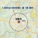 적정한 꿀벌 봉군 수의 필요성 이미지