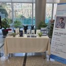 찾아가는 책놀이 교실 | [행사 후기] 2025 찾아가는 인문학 교실 5회차 - 백희성 작가