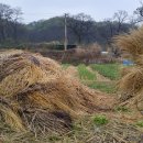 최영자농장 이미지