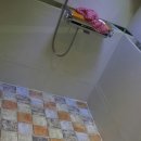 지경자동차정비 이미지