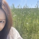 아이티조이