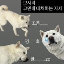 미도찜닭 | [일기] 202602~03 아산병원, 이사, 취미생활