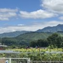 국화펜션 이미지