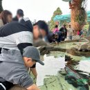 스타피시존 네이버블로그