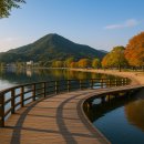 두물머리민박 이미지