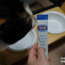 (주)수제스트