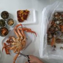 구리청과공판장 | [경기도 구리] 아쿠아리움? 대게 킹크랩 전복 구매 후기 구리 농수산물시장