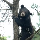 장서농장 이미지