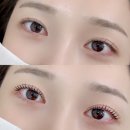 오아이뷰티룸 | 8월첫째주:운전연수, 우포스, 과수원성격테스트, 상왕십리자이로토닉, 상왕십리속눈썹펌, 룰루레몬, SNPE