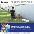 펫라이프 이미지