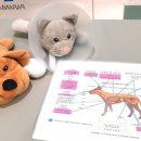 센트럴파란문약국 이미지