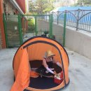 미포초등학교 이미지