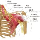 똑똑한몸만들기 이미지