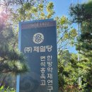 충북 영동군 양산면 (비봉산) 산행 이미지