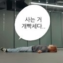 퍼피마인 | [3月] ✮ ⋆ 담아줘 내 위시리스트에˚｡ ⋆｡°✩ 어라 너무 많이 담았다