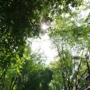 세명주유소 이미지