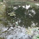 칠보단장 이미지