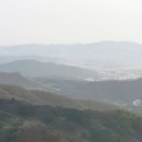 산지농장 이미지