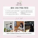 배영유치원 | [부산 샌드아트 체험] 유치원, 학교,도서관 전문 샌드아트 체험&amp;공연