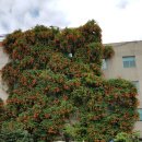 대봉1동주민센터 이미지