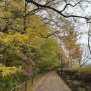 리틀 아쉬람 이미지