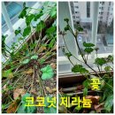 행복누리 이미지