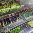 강경불고기 양주점 이미지