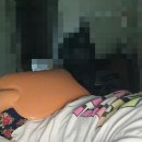 일동약국 | 허리통증 파스추천 약국파스 일동 에폴민 효과 가격 사용후기