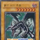 흑룡 이미지