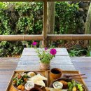 월령지헌 이미지