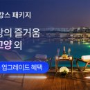 소노캄 고양 이미지