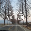 [곡성 숙소] 시골집에 놀러간 듯한 곡성 에어비앤비 누리네민박