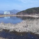 고암체육공원 이미지