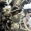 디케이게러지 이미지