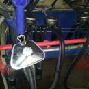 우사랑동물병원 이미지