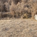 칠성면사무소 이미지