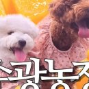 수광농장 이미지