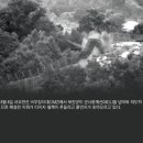 뒤죽박죽 이미지