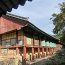 순천 송광사 템플스테이 후기- 두번이나 간 송광사 템플스테이🍀