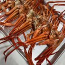 복불복 성인PC 이미지