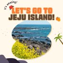 서귀포KAL호텔 | [제주여행] 바다 뷰에 힐링까지, 서귀포 KAL 호텔 솔직 후기