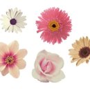 스티커포토샵 이미지