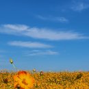 덕소삼패공원 사진 산책 이미지