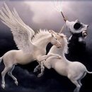 페가수스 이미지