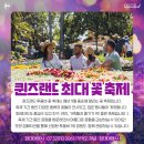 [브리즈번 여행]너무 재밌었던 현대여행사 투움바 꽃축제 후기
